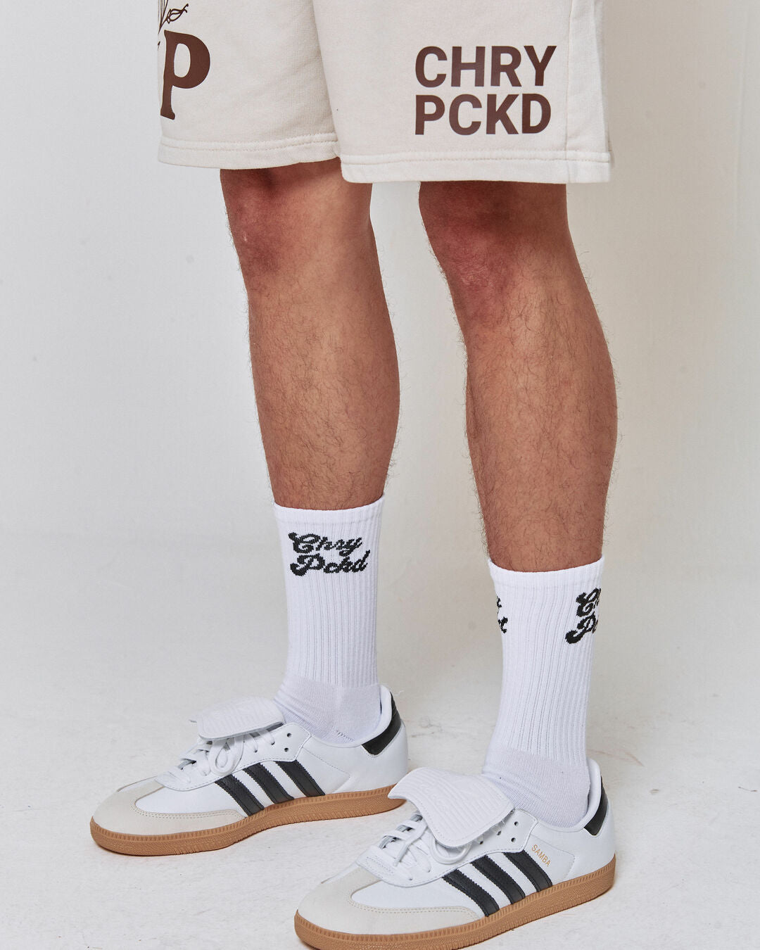 Logo Socks (White)
